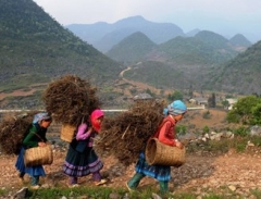 Cuộc sống  của người dân Mèo Vạc trên báo Tây
