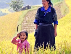 Ngắm nụ cười trẻ em Mù Cang Chải mùa lúa chín