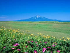 Những hòn đảo kỳ lạ của Nhật Bản