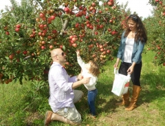 Đến thăm những vườn táo tuyệt đẹp trên đất Mỹ