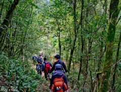 Du lịch teambuilding thám hiểm rừng sâu