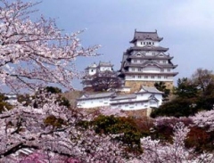 10 điểm ngắm hoa anh đào đẹp nhất Nhật Bản bạn đã biết chưa?