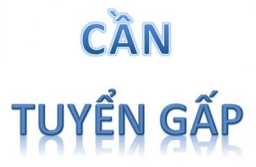 Tuyển nhân viên Điều Hành kiêm Sale du lịch