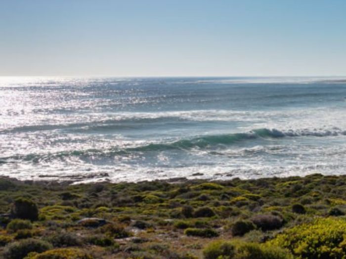 Khu bảo tồn thiên nhiên Mũi Hảo Vọng