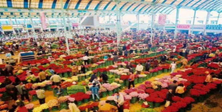 Chợ hoa Đấu Nam