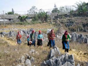 Hà Nội - Hà Giang - Cột Cờ Lũng Cú - Cao Nguyên Đá Đồng Văn