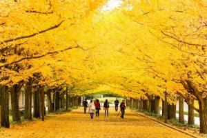 Hà Nội - Seoul - Đảo JeJu - Everland - Đảo Nami - Hà Nội