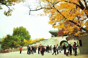 Hà Nội - Seoul - NaMi - Công viên Everland - Hà Nội