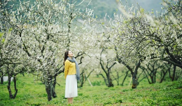 Du Lịch Mộc Châu - Mai Châu - Cầu Kính Bạch Long 2N1Đ