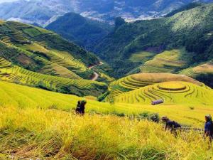 Hà Nội - Lào Cai - Sapa - Fanxipang