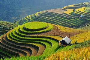 Hà Nội  - Lào Cai - Sapa - Hà Khẩu 3 ngày 2 đêm