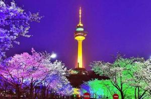 Seoul - Bảo tàng tranh 3D - Làng dân tộc Namsan Hanok - Công viên Everland - Đảo Nami – Núi Namsan