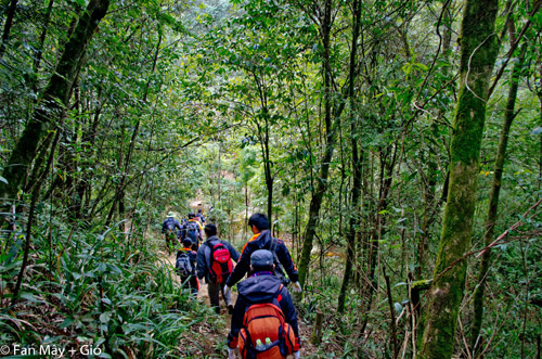 Du lịch teambuilding th&aacute;m hiểm rừng s&acirc;u