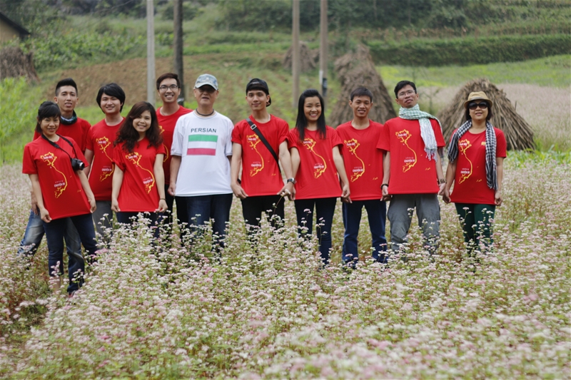 lần đầu tổ chức lễ hội hoa tam giác mạch ở Hà Giang 2015