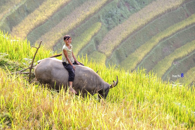 nụ cười trẻ em vùng cao