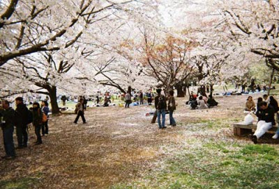 Ueno Onshi Koen Park Nhat Ban