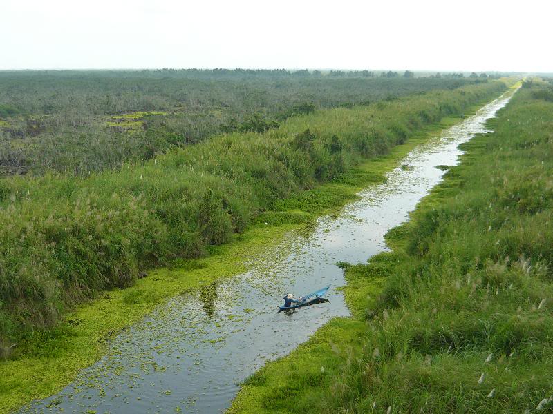 Vườn Quốc Gia: U Minh Thượng Vườn Quốc Gia: U Minh Thượng