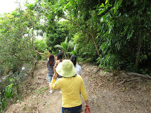 Tour du lịch Bến Tre Tour du lịch Bến Tre