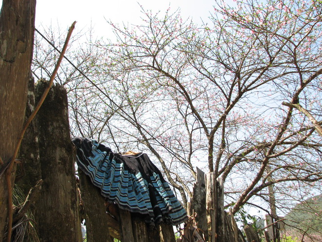 Mộc Ch&acirc;u m&ugrave;a Xu&acirc;n Về