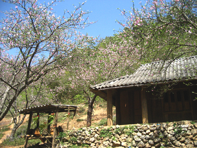 bản L&oacute;ng Lu&ocirc;ng - Hoa Đ&agrave;o