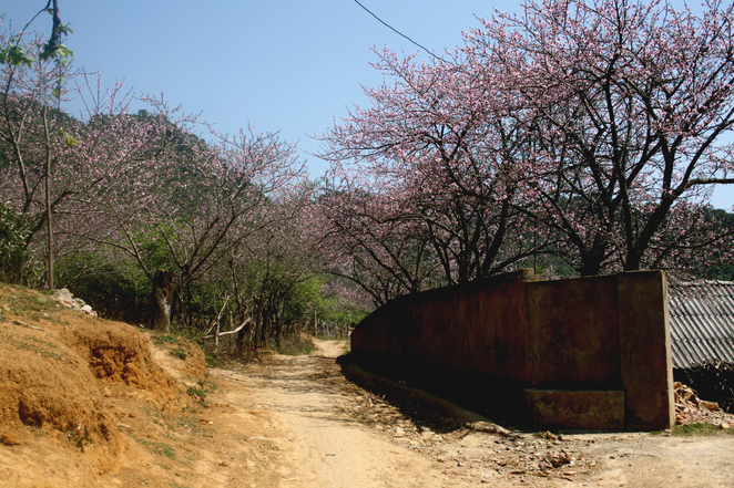 Du lịch Mộc Ch&acirc;u