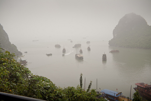 Tour Du Lịch Hạ Long Giá Rẻ