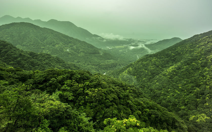 Những hòn đảo kỳ lạ của Nhật Bản