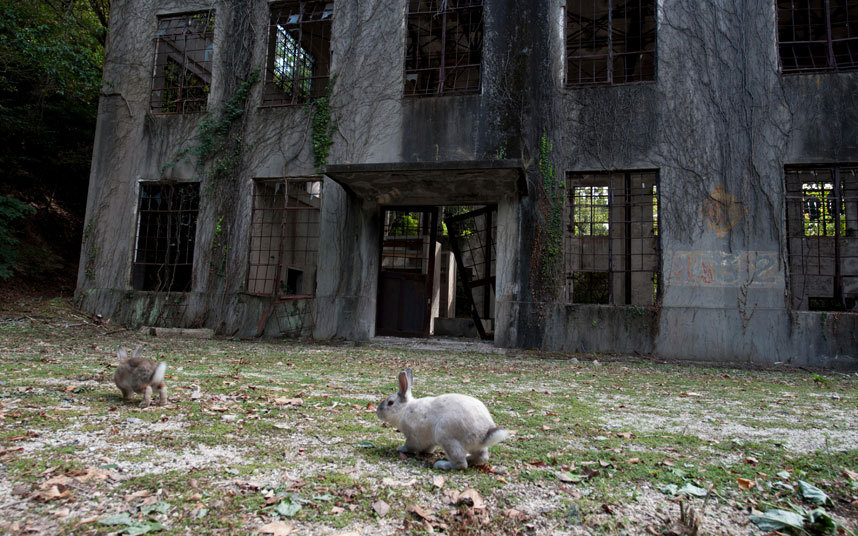 Những hòn đảo kỳ lạ của Nhật Bản