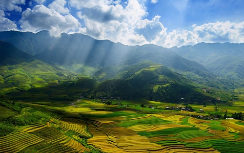 ruộng bậc thang Mù Cang Chải